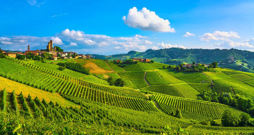 MILANO LIMOUSINE: tours sulle Langhe