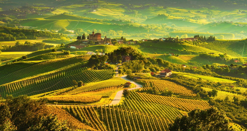 MILANO LIMOUSINE: tours sulle Langhe MILANO LIMOUSINE: tours sulle Langhe